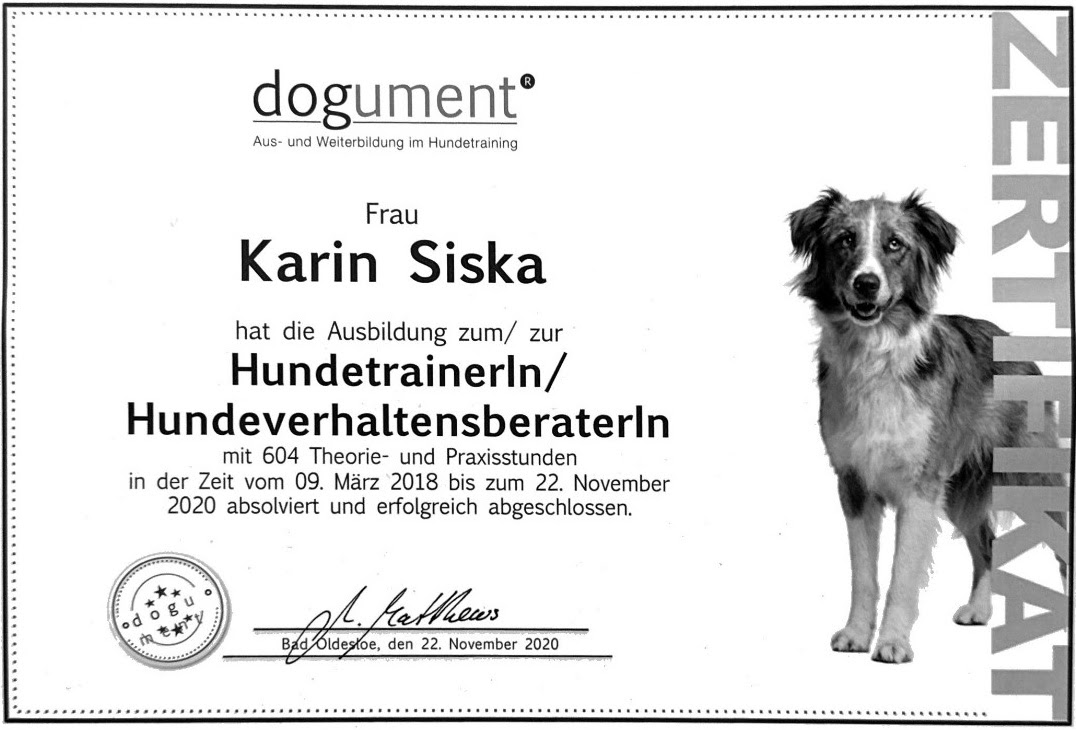 Zertifikat Hundetrainerin